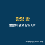 썸네일 이미지