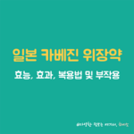 일본 카베진 썸네일