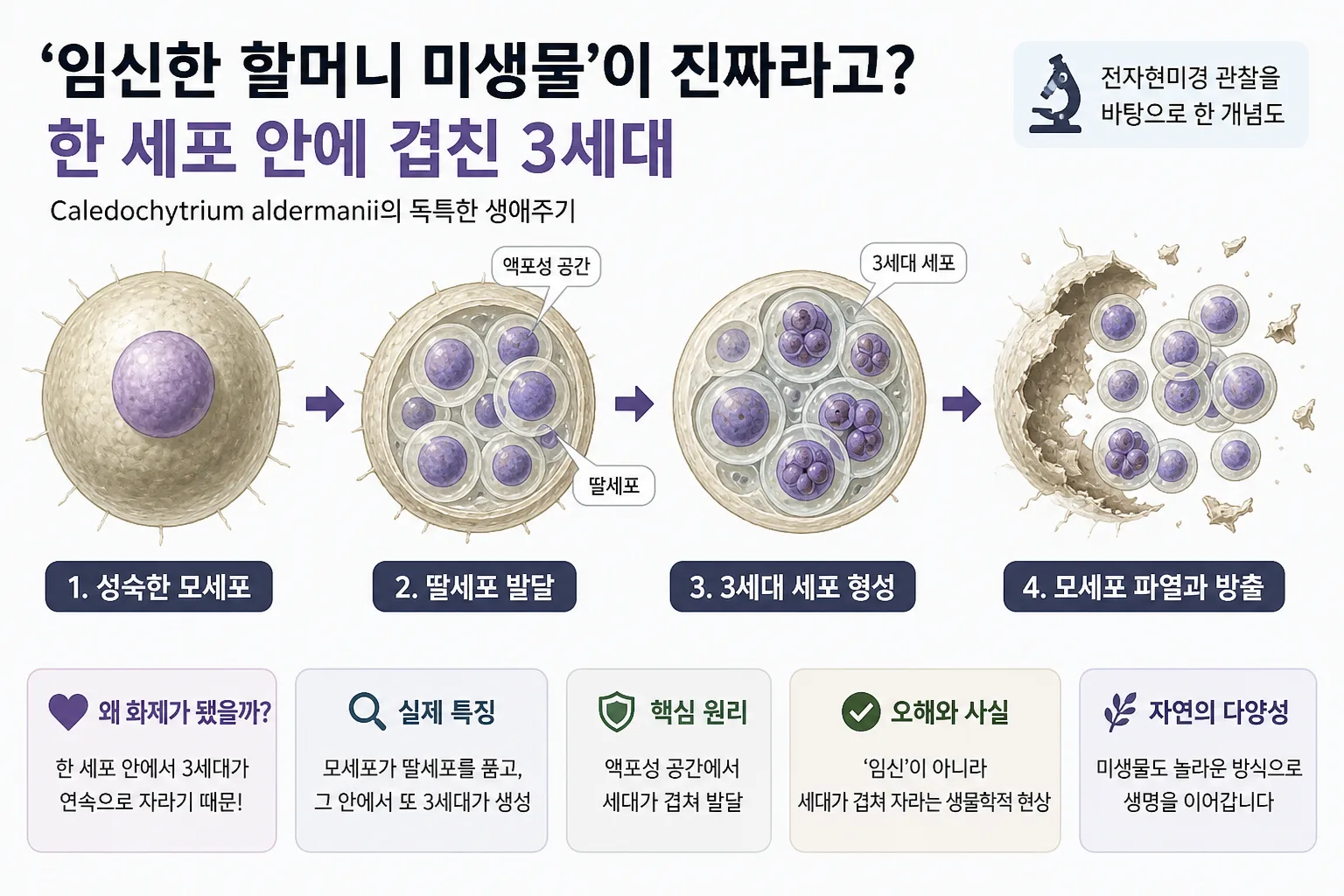 임신한 할머니 미생물 핵심 정보