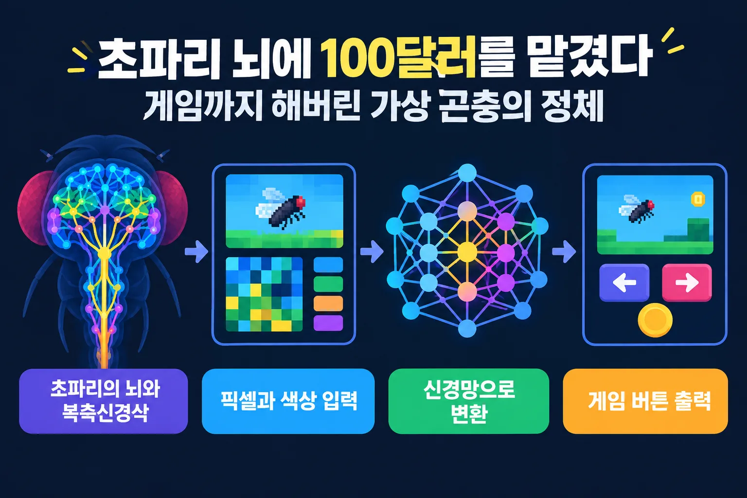 초파리 뇌 핵심 정보