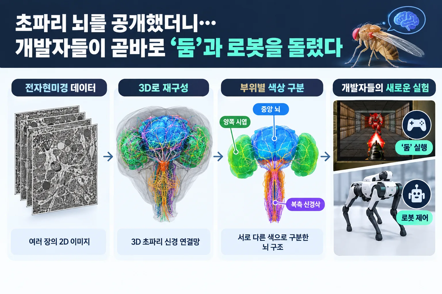 초파리 뇌 핵심 정보