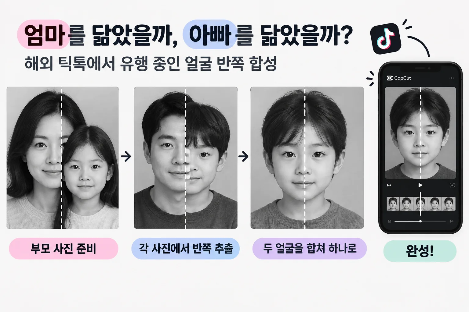얼굴 반쪽 합성 핵심 정보