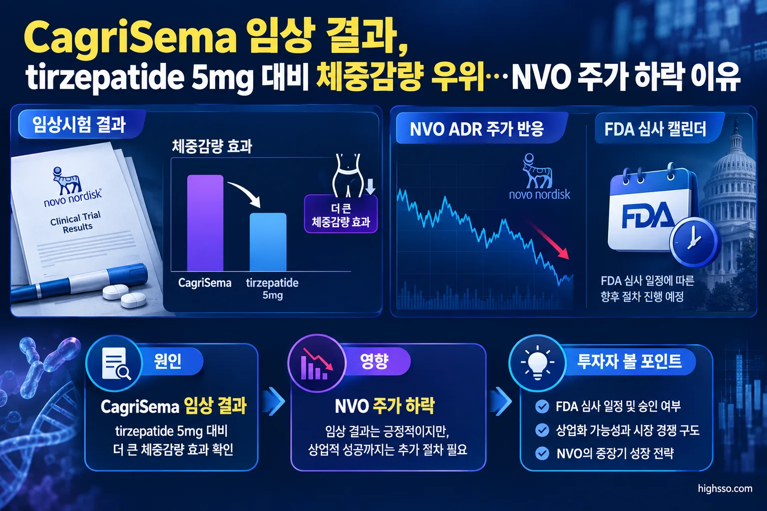 CagriSema 임상 결과와 FDA 일정 및 NVO 주가 영향을 정리한 투자자용 인포그래픽