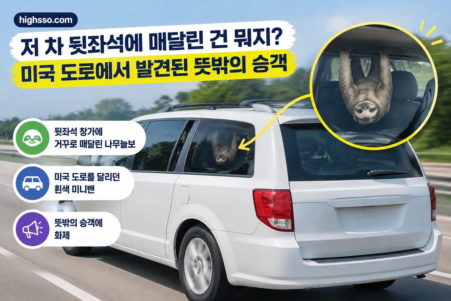 나무늘보 핵심 정보