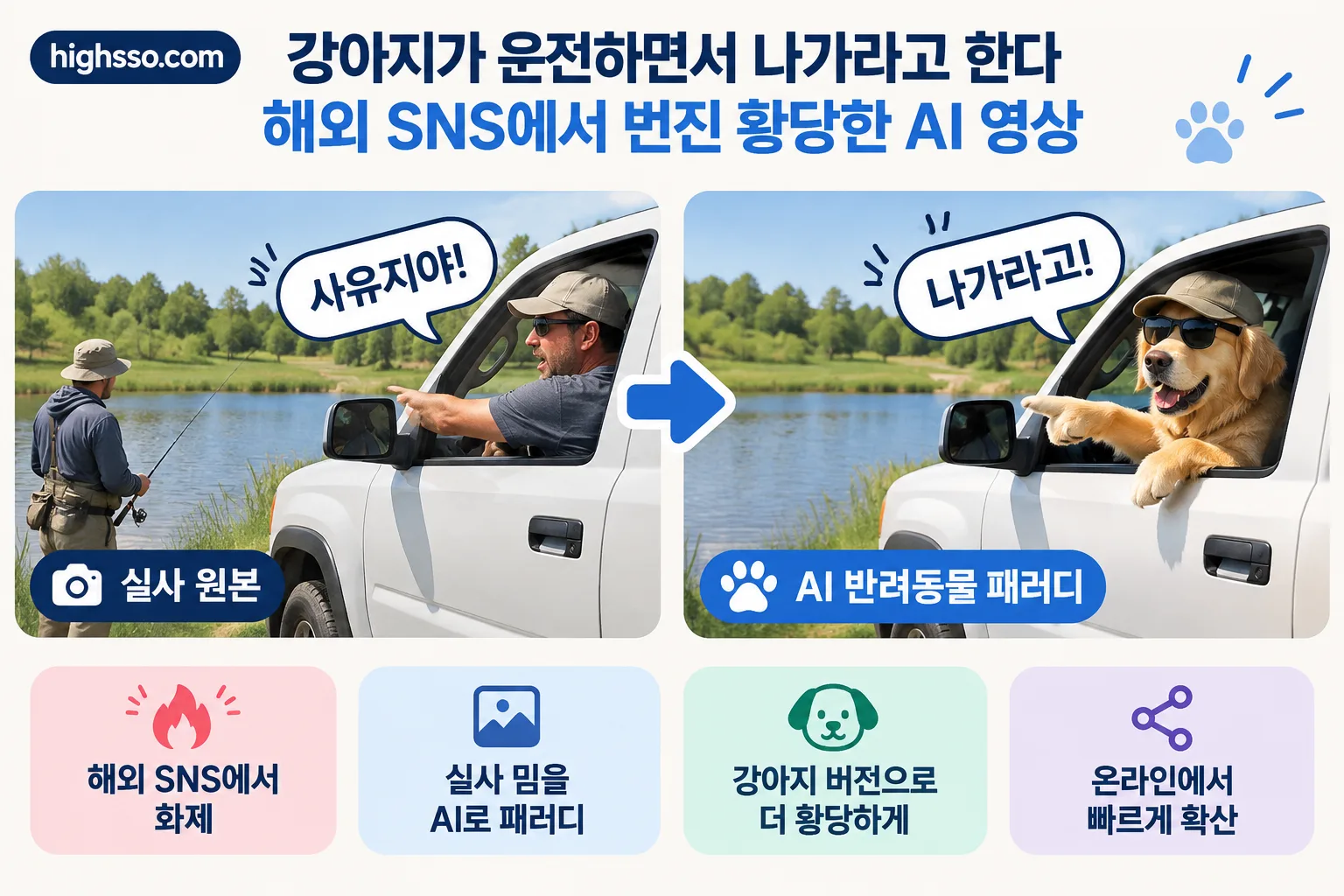 강아지가 운전하면서 나가라고 한다 핵심 정보